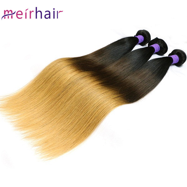 Ombre Human Hair Extensions Tb#14#27 